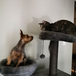 Meet your Posher, Andrew